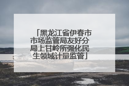 黑龙江省伊春市市场监管局友好分局上甘岭所强化民生领域计量监管